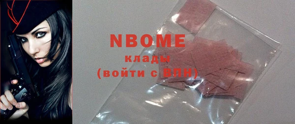 ГАЛЛЮЦИНОГЕННЫЕ ГРИБЫ Богданович