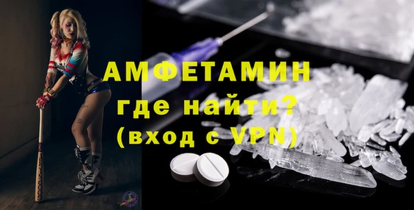 ГАЛЛЮЦИНОГЕННЫЕ ГРИБЫ Богданович