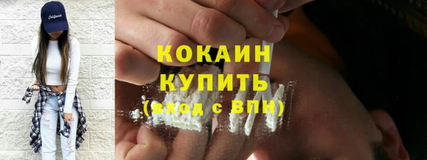 ГАЛЛЮЦИНОГЕННЫЕ ГРИБЫ Богданович