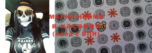 ГАЛЛЮЦИНОГЕННЫЕ ГРИБЫ Богданович