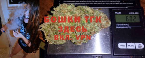 ГАЛЛЮЦИНОГЕННЫЕ ГРИБЫ Богданович