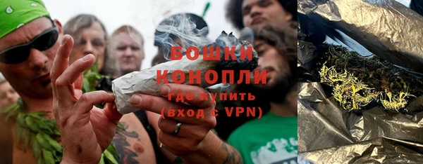 ГАЛЛЮЦИНОГЕННЫЕ ГРИБЫ Богданович