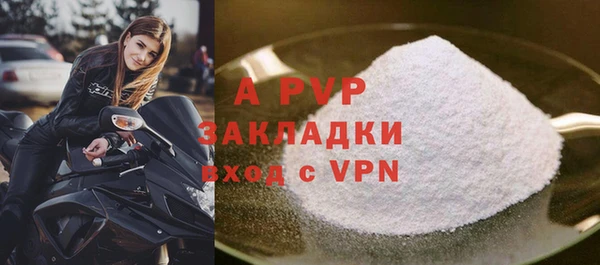 ГАЛЛЮЦИНОГЕННЫЕ ГРИБЫ Богданович