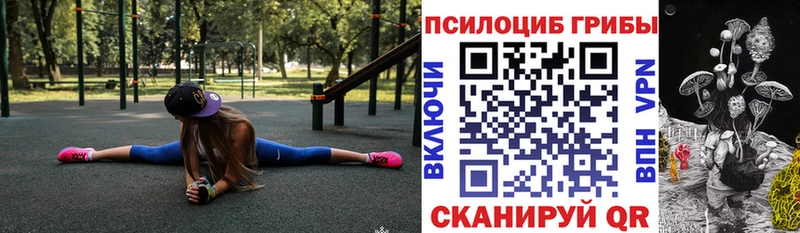 Псилоцибиновые грибы Cubensis Мценск